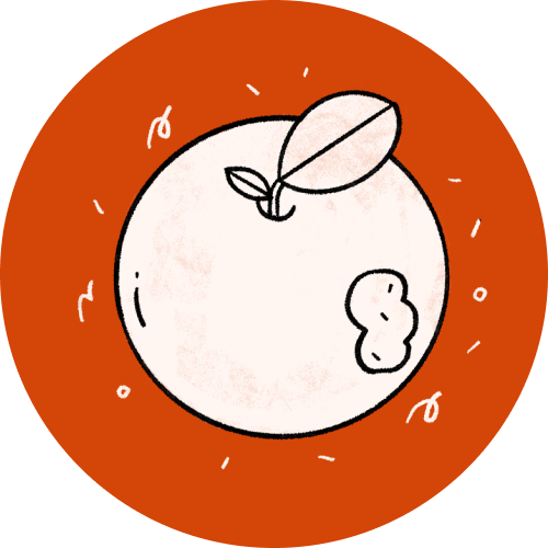 Design a Mars Base