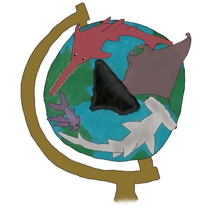 Counting Sharks: Teaching Numbers and Counting