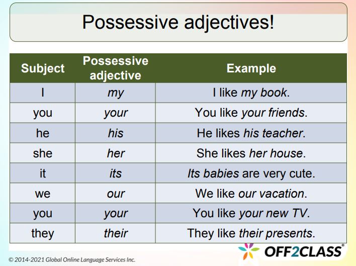 How To Teach Possessive Adjectives In A Fun Way - ESL Lesson Plan