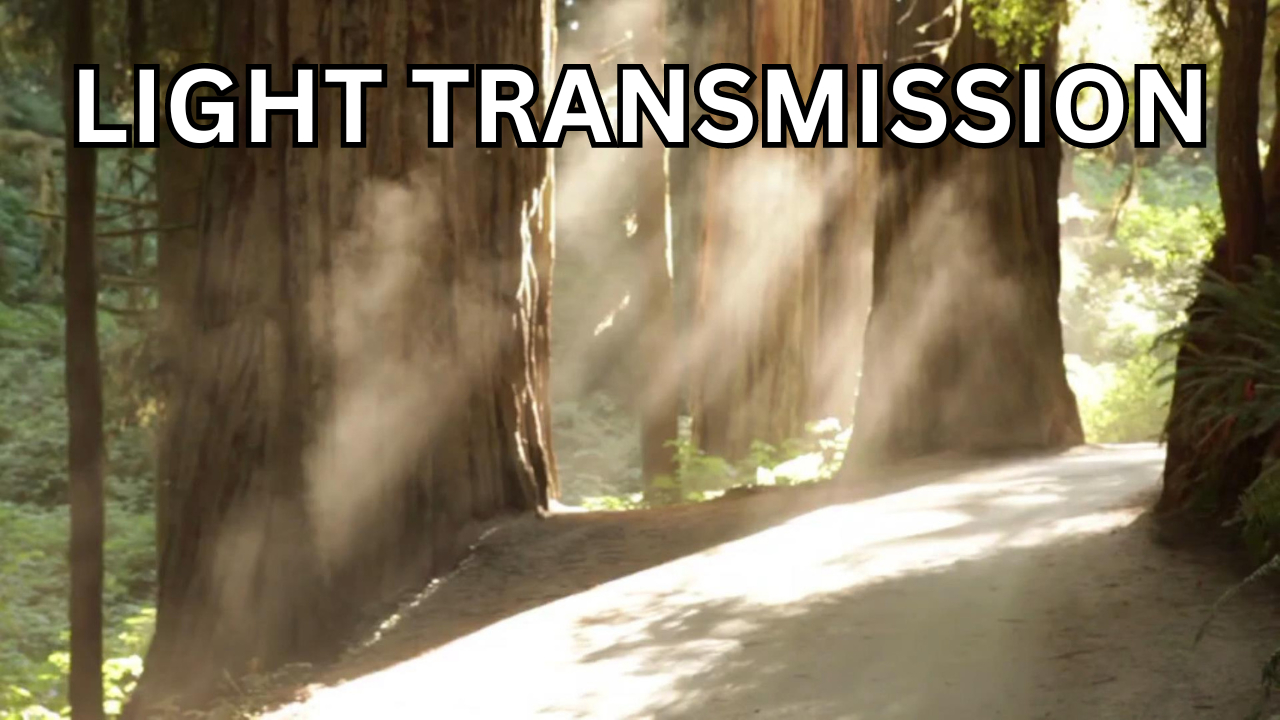 Intro to Light Transmission. Video sheet, Google Forms, Canvas & more (V2)
