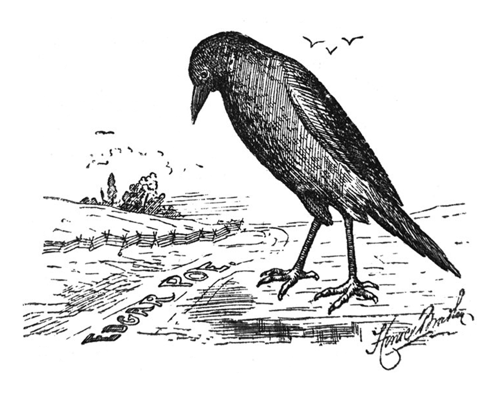 Antique illustration - large black crow looking down at a road with the words Edgar Poe written on it stock illustration