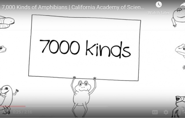 Video: 7,000 Kinds of Amphibians