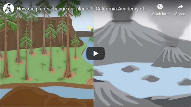 Video: How Did Plants Change Our Planet?