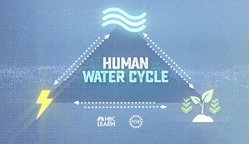 Human Water Cycle: Agriculture