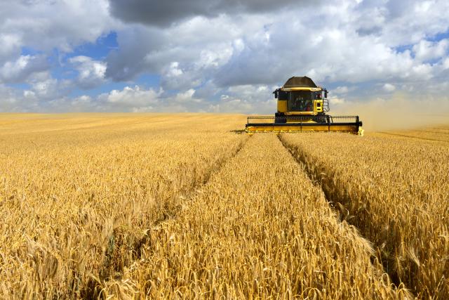Biodiversity and Humans - Legends of Learning