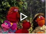 Sesame Street in Communities: Virtual Resources on Animals and Nature