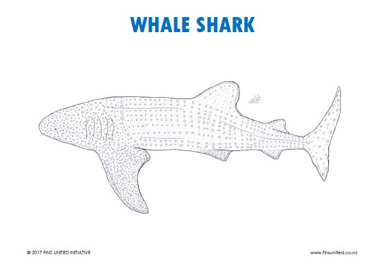 Whale Shark Coloring Page