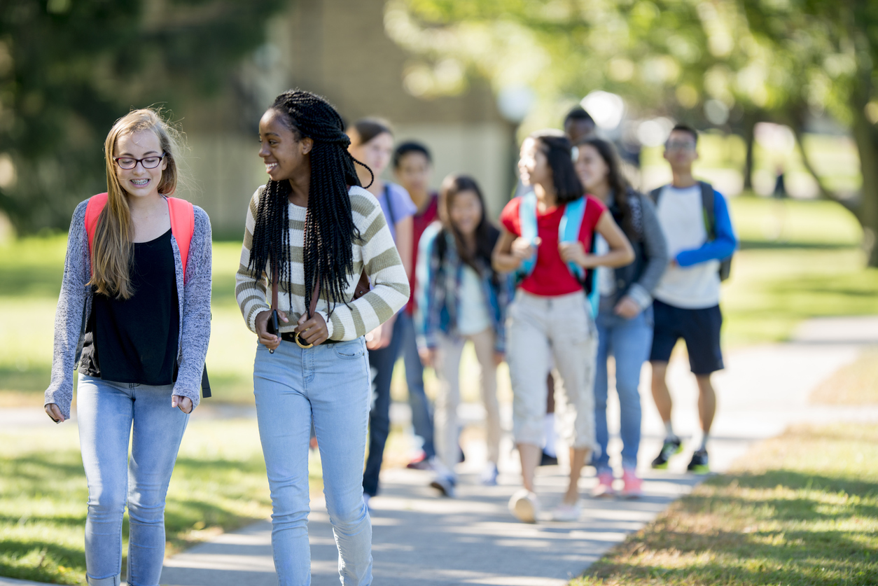 Healthy eating, healthy living LESSON PLAN