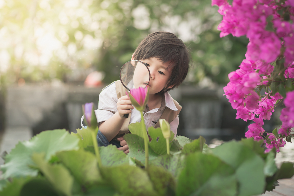 Science lesson for observing ELL language development